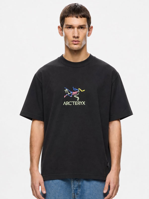 IMG_0313 تیشرت ARCTERYX مشکی - Image 1